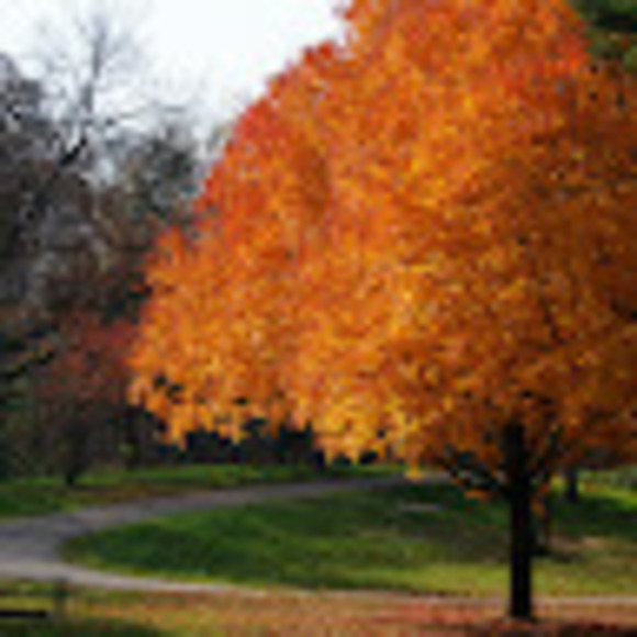 Meet your Posher, Lucas - Picture 1 of 1